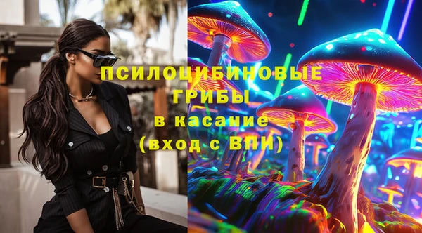 стаф Медногорск