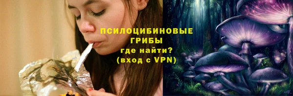 mdpv Медвежьегорск