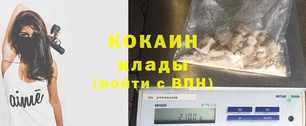 стаф Медногорск