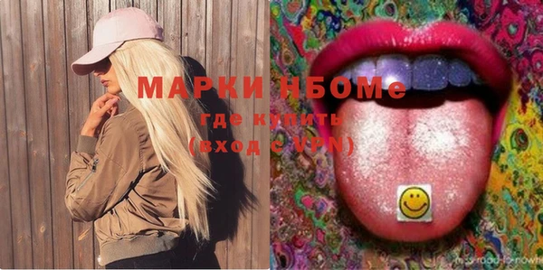 стаф Медногорск