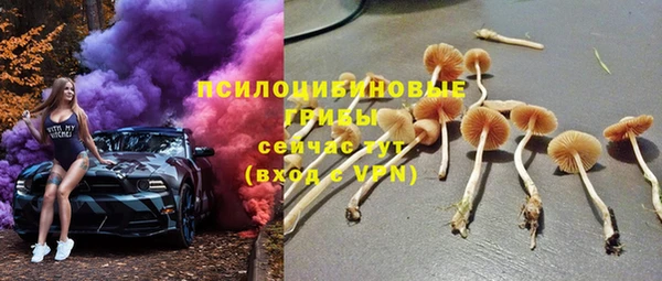 mdpv Медвежьегорск